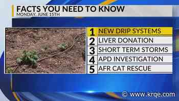 New drip systems, Liver donation, Storm chances, Deadly shooting, AFR cat rescue