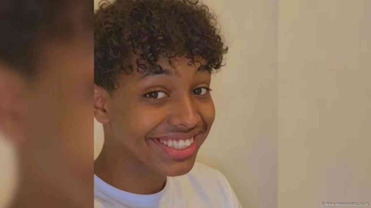 Family's 'hearts broken' after death of man, 21, in stabbing incident in park