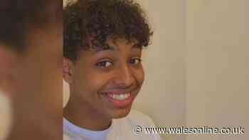 Family's 'hearts broken' after death of man, 21, in stabbing incident in park