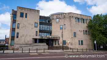 Afghan man, 29, 'plied two girls aged 14 with alcohol and raped them both in his flat after befriending one on Snapchat', court hears