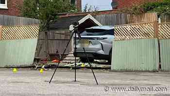 Boy, two, is rushed to hospital after car crashes into children's nursery playground
