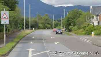 Welsh man killed as van ploughs into stationary lorry in Scotland