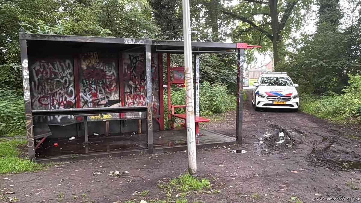 Aangehouden tieners na mishandeling Helmond vrij, maar blijven verdachten