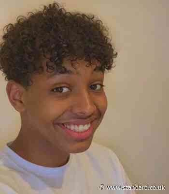 Pictured: Londoner stabbed to death in park as two charged with murder