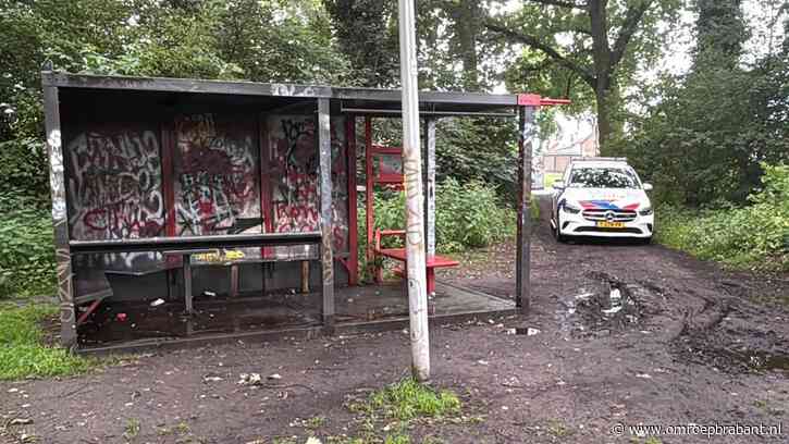 Aangehouden tieners na mishandeling Helmond vrij, maar blijven verdachten