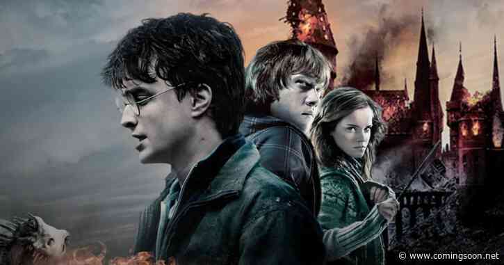 Harry Potter Fans Just Got Bad News From HBO Max & Peacock