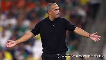 Ex-Cardiff City boss brutally sacked just one game into World Cup after thrashing