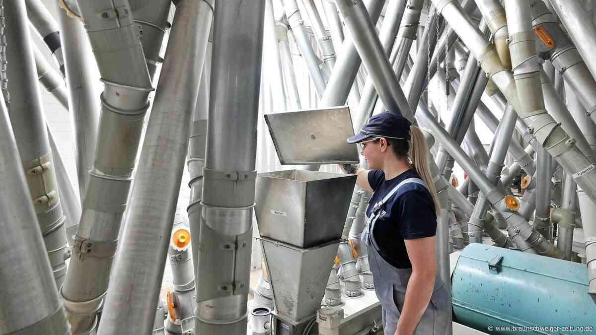„Leider lässt sich nicht dagegen vorgehen“: Mühlen-Mitarbeiter verlieren Jobs