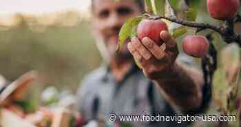 What happens when apple growers spend more on labor than their crop is worth?