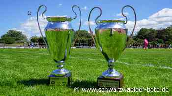 Meister-Cup in Reutlingen: Vertreter aus dem Fußballbezirk Nordschwarzwald scheiden früh aus