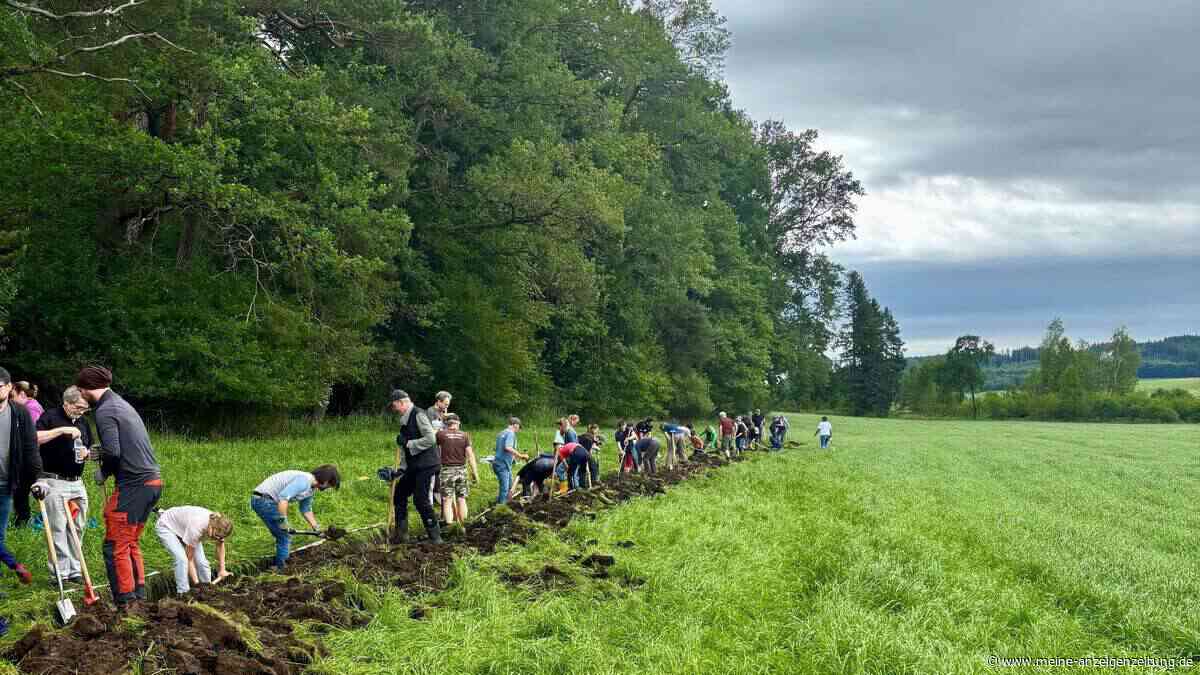 Wiedervernässung: 100 Bürger schaufeln 60 Kubikmeter Erde im Brucker Moos am Mitmach-Tag