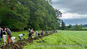 Wiedervernässung: 100 Bürger schaufeln 60 Kubikmeter Erde im Brucker Moos am Mitmach-Tag