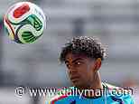 Spain vs Cape Verde - World Cup LIVE: European champions start bid for glory against tournament debutants