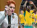 How Pauline Hanson voters are being told they CAN'T support the Socceroos because the team features many immigrants: Labor and Greens figures make extraordinary claim that has Barnaby Joyce melting down