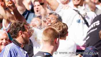Immanuel Feyi-Waboso gets drink thrown in face by fan as complaints made about players