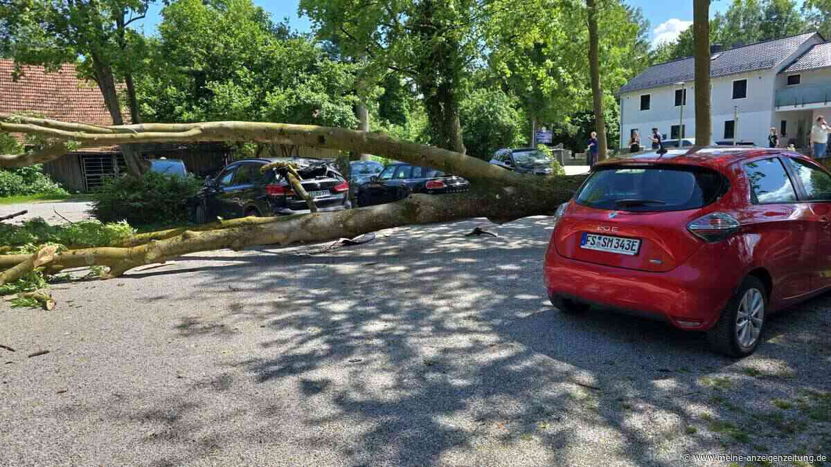 Nach Baum-Sturz: TC Eschenried ist „froh, dass niemand verletzt wurde“