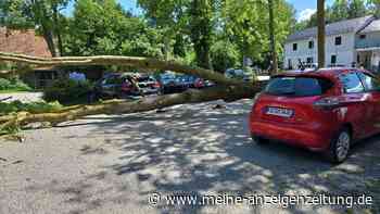 Nach Baum-Sturz: TC Eschenried ist „froh, dass niemand verletzt wurde“
