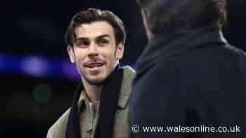 Gareth Bale in fresh Cardiff City takeover claim as he launches new private investment fund