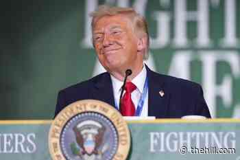 President unveils plans for 'most spectacular TRUMP RALLY' on July 4
