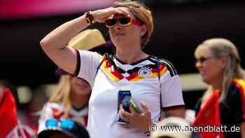 Adidas, Puma, Nike und Check24: So unterschiedlich teuer sind WM-Trikots 2026