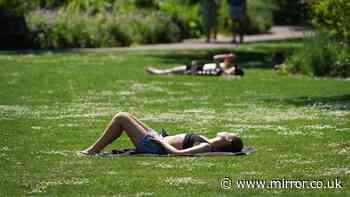 UK heat health alert issued this week - Full list of regions as temperatures to hit 30C