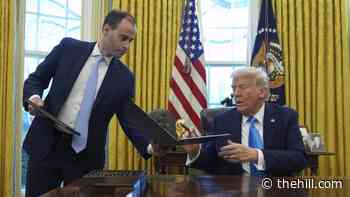 White House weighed suspending habeas corpus rights for undocumented immigrants: Book