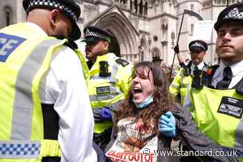 Court of Appeal’s Palestine Action ruling paves way for scores of criminal cases