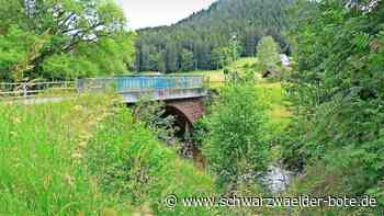 Stollen- und Kraftwerkspläne: Als bei Enzklösterle ein Stausee entstehen sollte