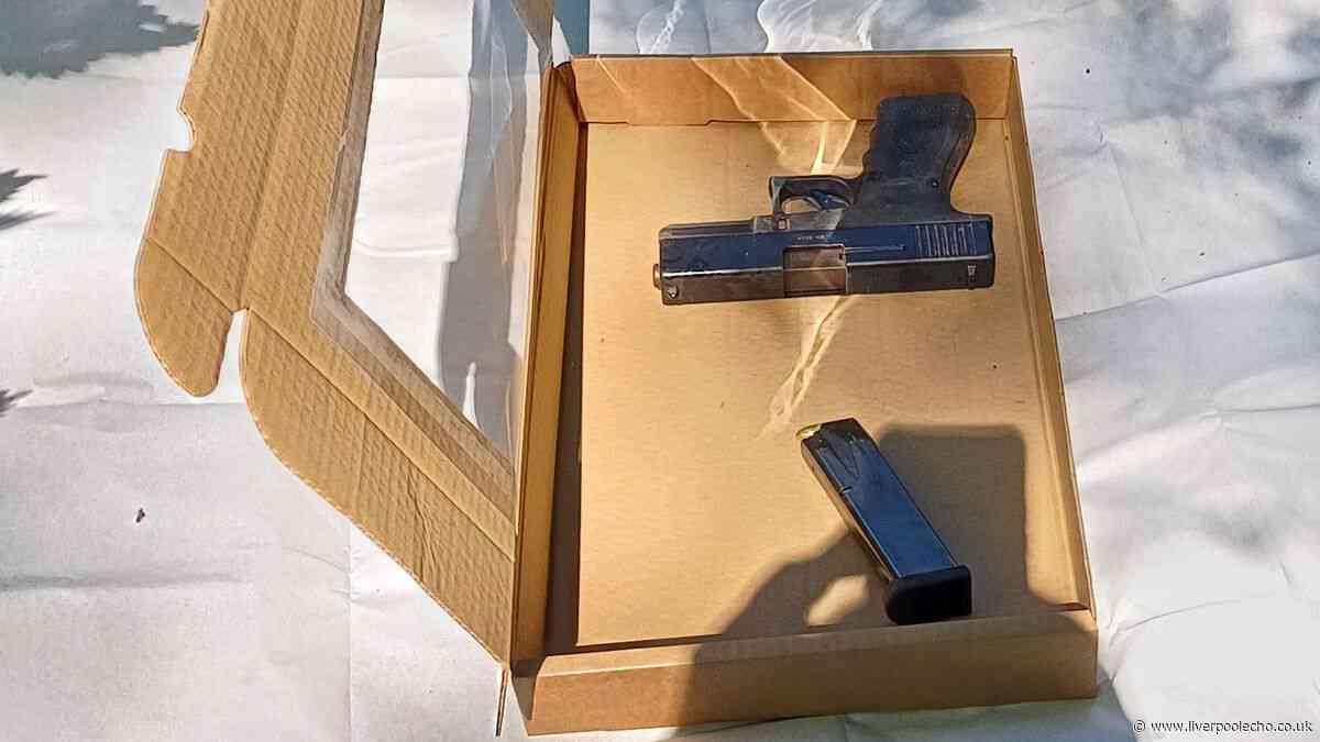 Gun and ammunition found hidden in bin bag