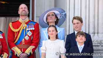 Prince William and Kate's work shines through after Prince George's 'striking' change