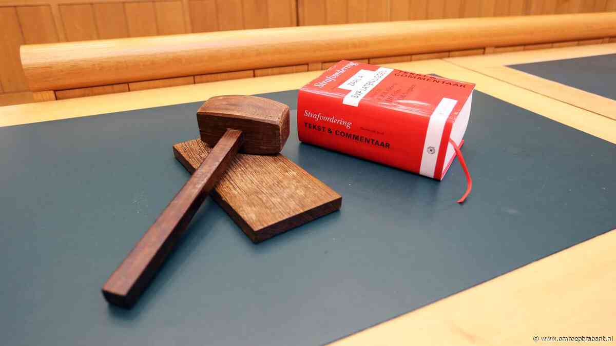 Seksueel misbruik pleegkinderen, Bossche vaders veroordeeld