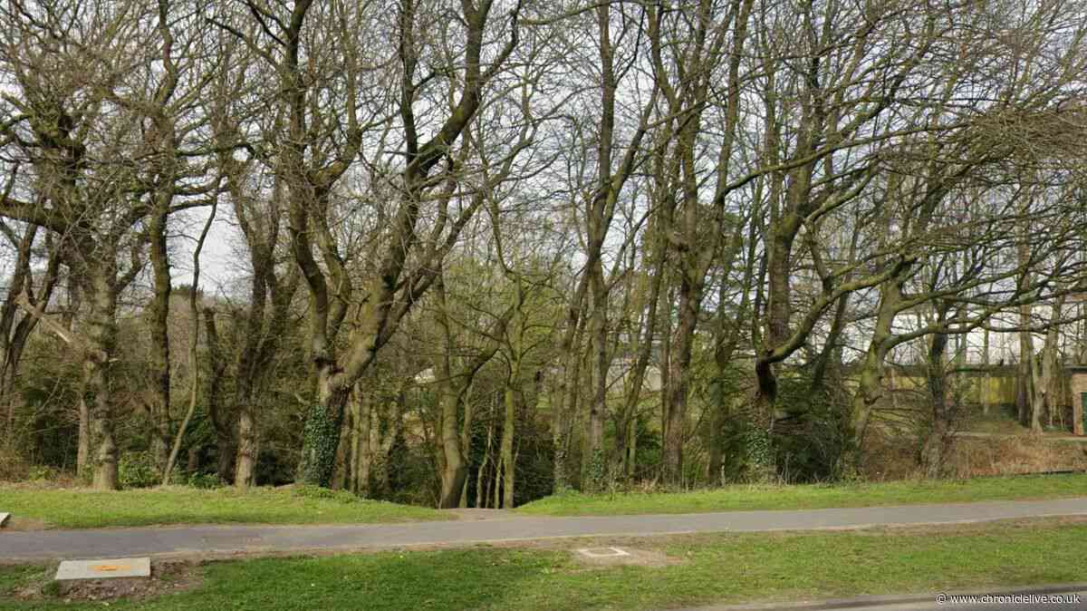 Investigation launched after pair 'demand information' from man in wooded area 'altercation'