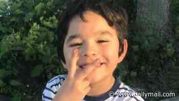 School is blamed over the death of boy, 7, who was starved and locked away by cruel stepmom