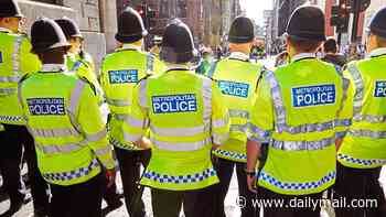 Police log 'hate incident' against mother who failed to call her trans child by their new name