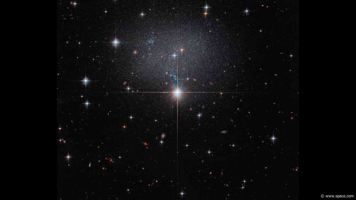 Hubble spies a swarm of stars in a strange, irregular galaxy | Space photo of the day for June 15, 2026