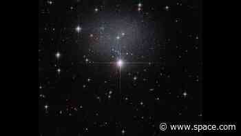 Hubble spies a swarm of stars in a strange, irregular galaxy | Space photo of the day for June 15, 2026
