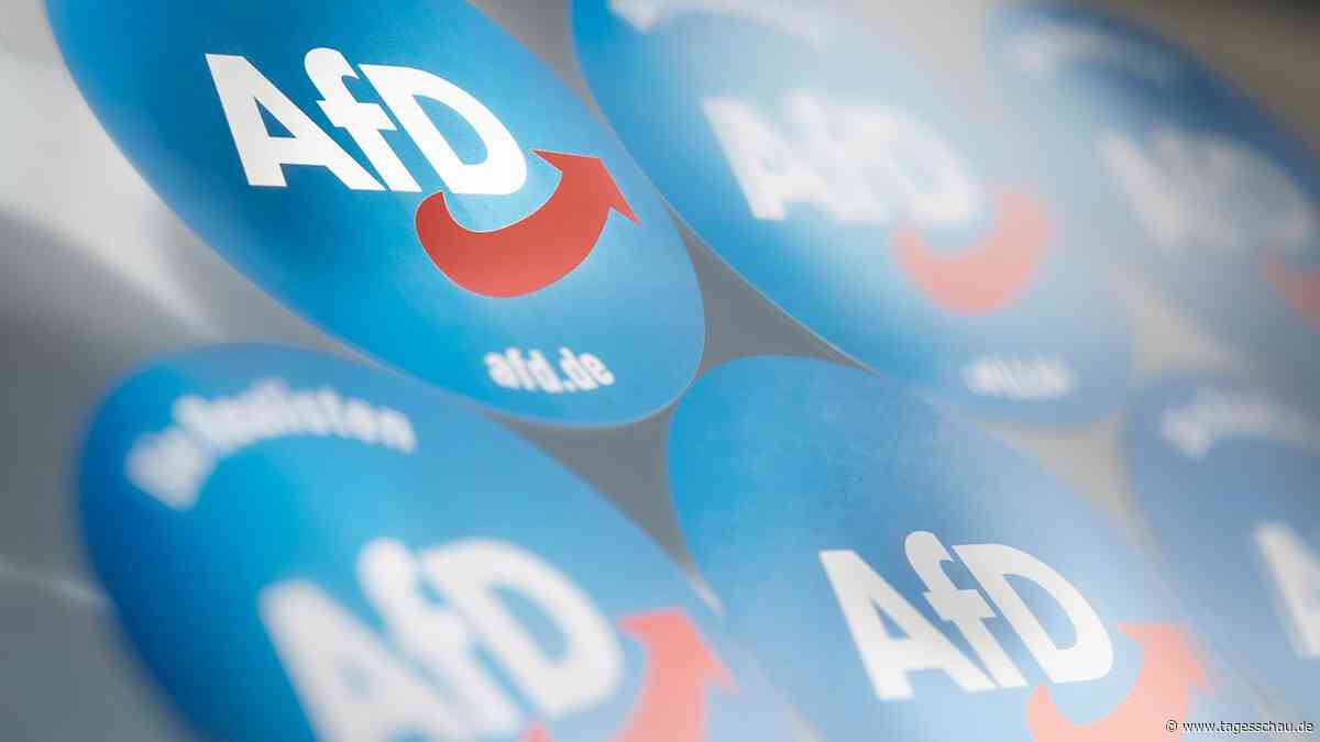 AfD-Bundesvorstand verbietet Zusammenarbeit mit Politikberater