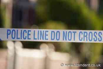 15-year-old boy fights for life after being stabbed in east London