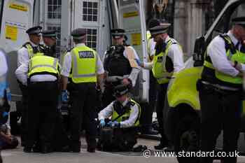 More than 100 arrested at protest outside court amid Palestine Action ruling