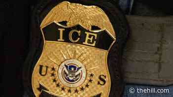 ICE officer struck by vehicle during apprehension attempt, officials say