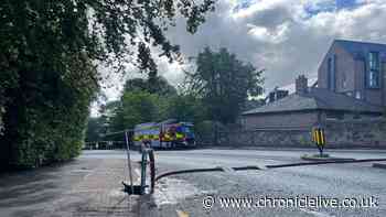 Newcastle derelict building fire near Jesmond Dene treated as suspected arson