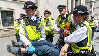More than 100 people arrested on suspicion of supporting Palestine Action as judges uphold ban