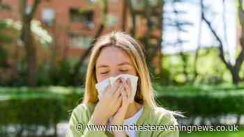 Hayfever hell: Why is Manchester is so full of pollen today