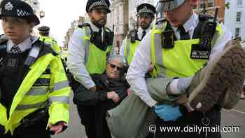 More than 100 Palestine Action supporters are arrested outside the Royal Courts of Justice after judges ruled the ban on the group was lawful
