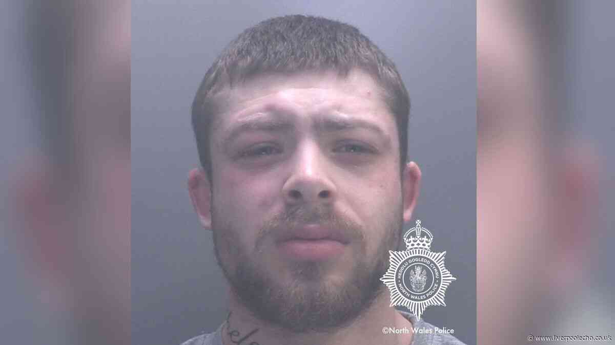 He thought he killed his brother before pointing gun at his family