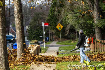 Advocates debate phase-out period for gas leaf blowers as County Board schedules vote