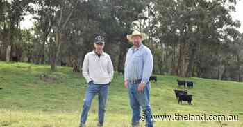 The ultimate retirement: Kerry Packer's former investment chief exits the cattle game
