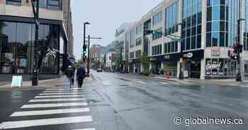 Theft, crime hurting Spring Garden Road’s image, Halifax business association says