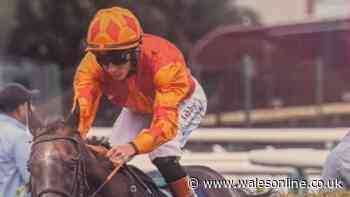The Welsh horse taking on big-money rivals at Royal Ascot