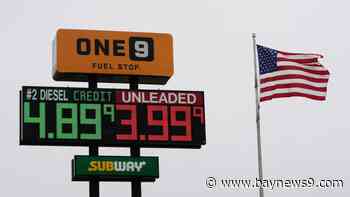 Gas prices fall below $4 national average for the first time since mid-April following Iran deal